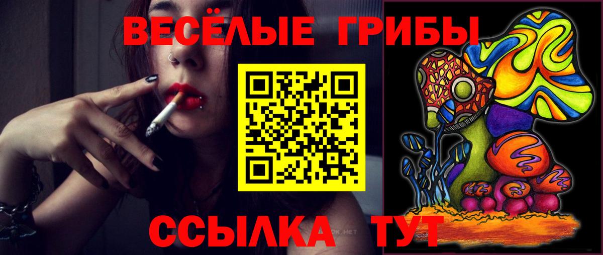 Псилоцибиновые грибы прущие грибы  Вход с VPN  Ейск 
